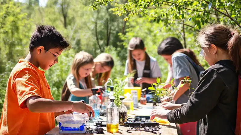 Estudiantes realizando proyectos ambientales en la naturaleza