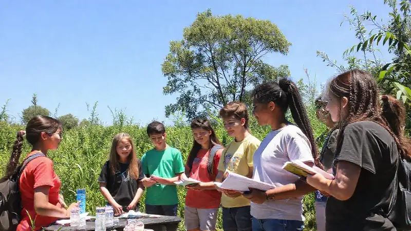 Estudiantes discuten en ambiente educativo al aire libre