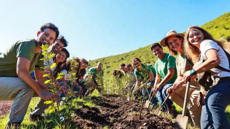 Voluntarios plantando árboles en naturaleza verde