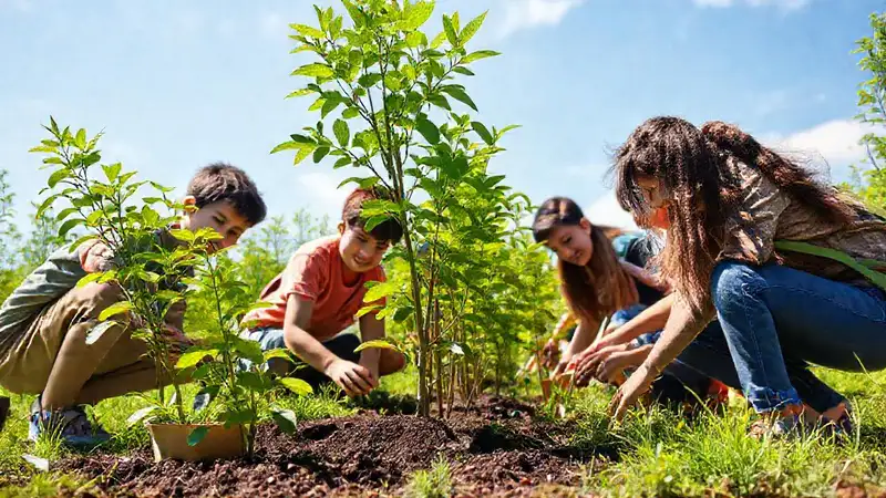 Estudiantes plantan árboles en equipo ambiental