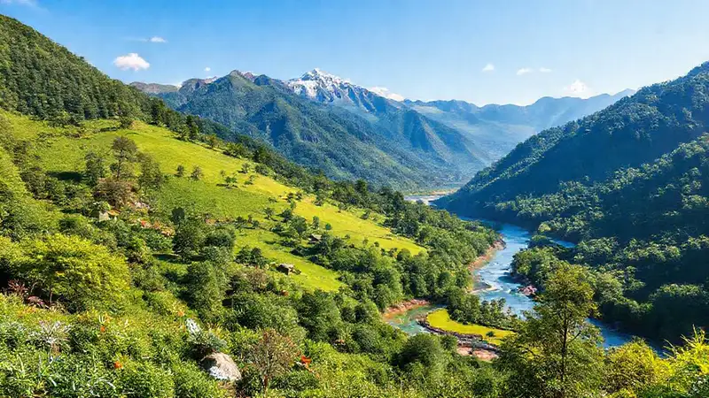 Paisaje verde, recursos, desarrollo sustentable y ecosistema