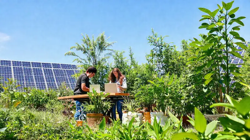 Espacio ecológico colaborativo con naturaleza y energía
