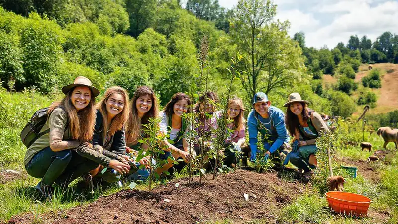 Voluntarios plantan árboles en paisaje verde y alegre
